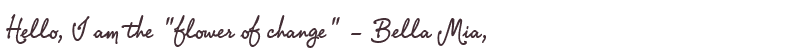 Greetings from Bella Mia