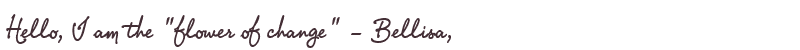 Greetings from Bellisa
