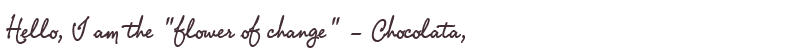 Welcome to Chocolata