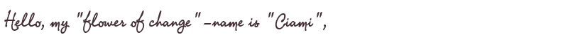 Welcome to Ciami