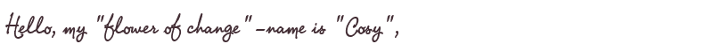 Welcome to Cosy