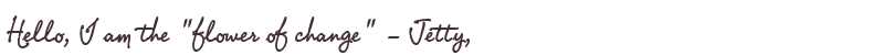 Welcome to Jetty