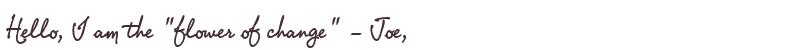 Welcome to Joe