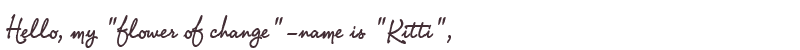 Welcome to Kitti