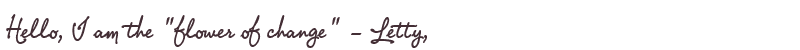 Welcome to Letty