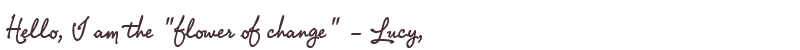 Welcome to Lucy