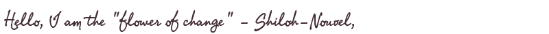 Welcome to Shiloh-Nouvel