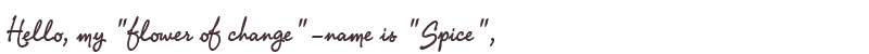 Welcome to Spice