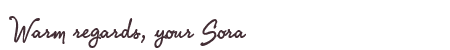 Greetings from Sora